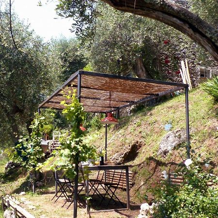 Il Giaggiolo Villa Camaiore Exteriör bild