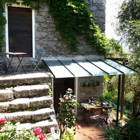 Il Giaggiolo Villa Camaiore Exteriör bild