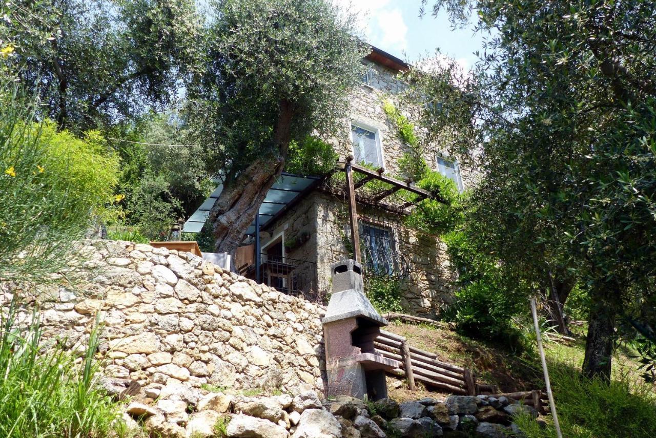 Il Giaggiolo Villa Camaiore Exteriör bild