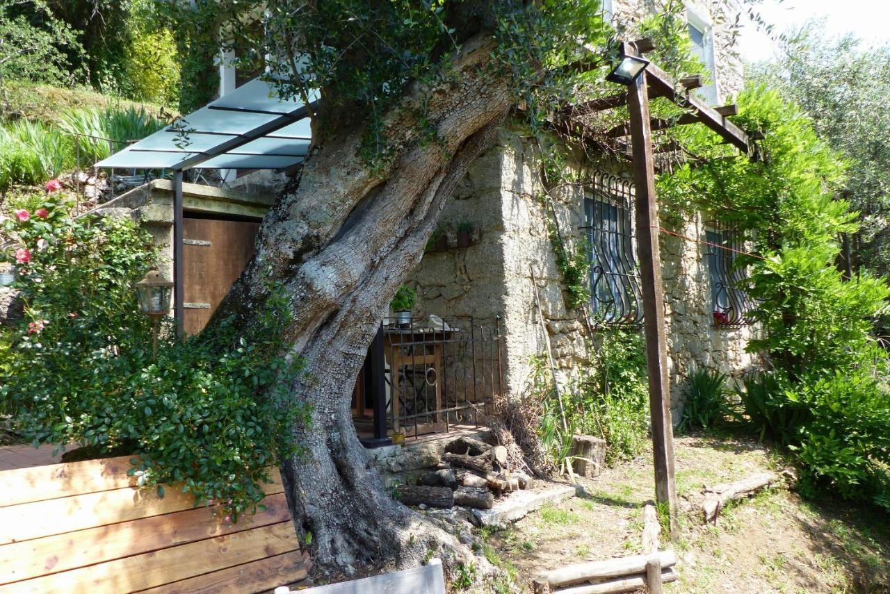 Il Giaggiolo Villa Camaiore Exteriör bild