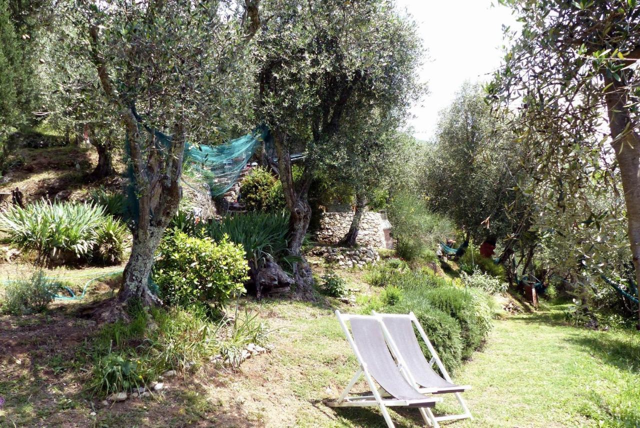 Il Giaggiolo Villa Camaiore Exteriör bild