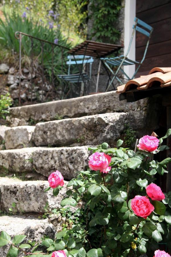 Il Giaggiolo Villa Camaiore Exteriör bild