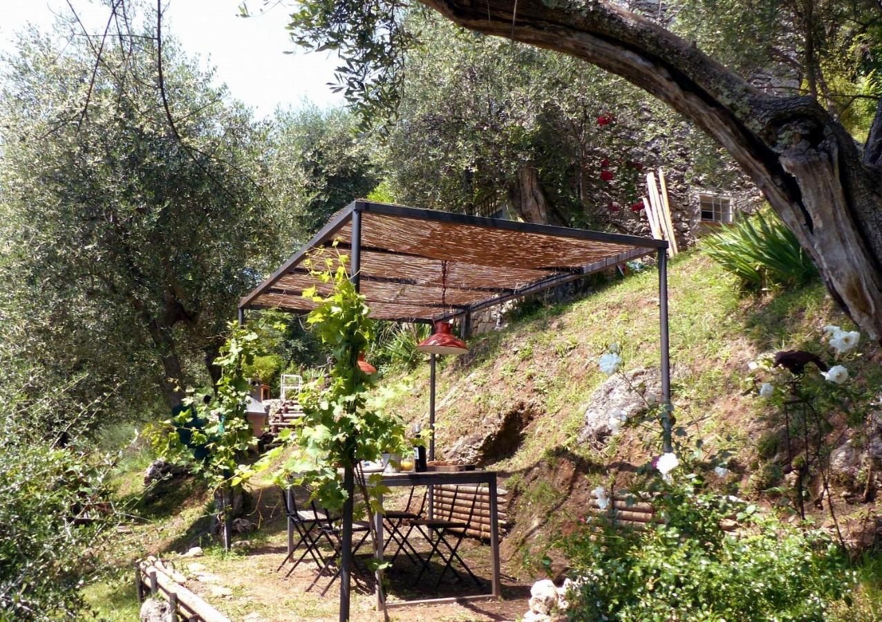 Il Giaggiolo Villa Camaiore Exteriör bild
