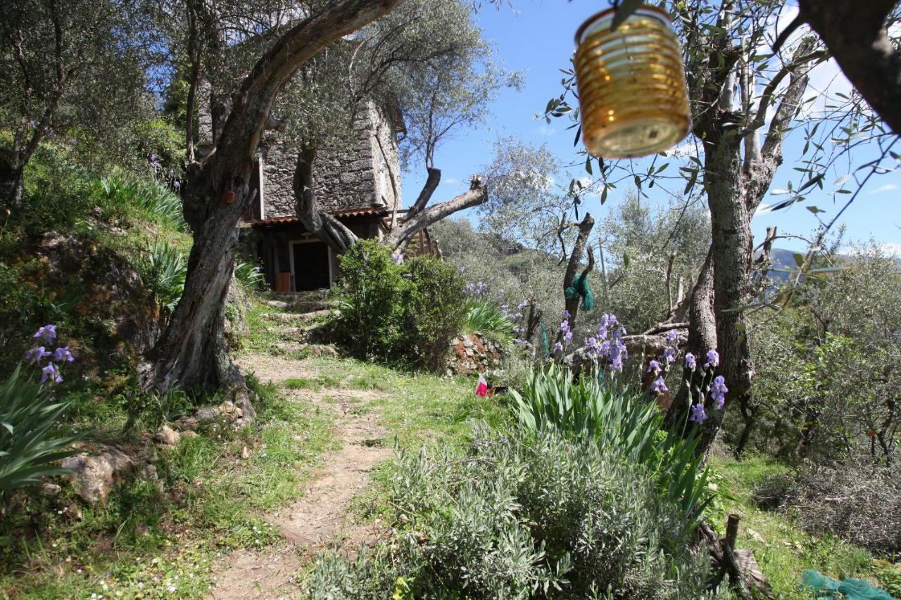 Il Giaggiolo Villa Camaiore Exteriör bild