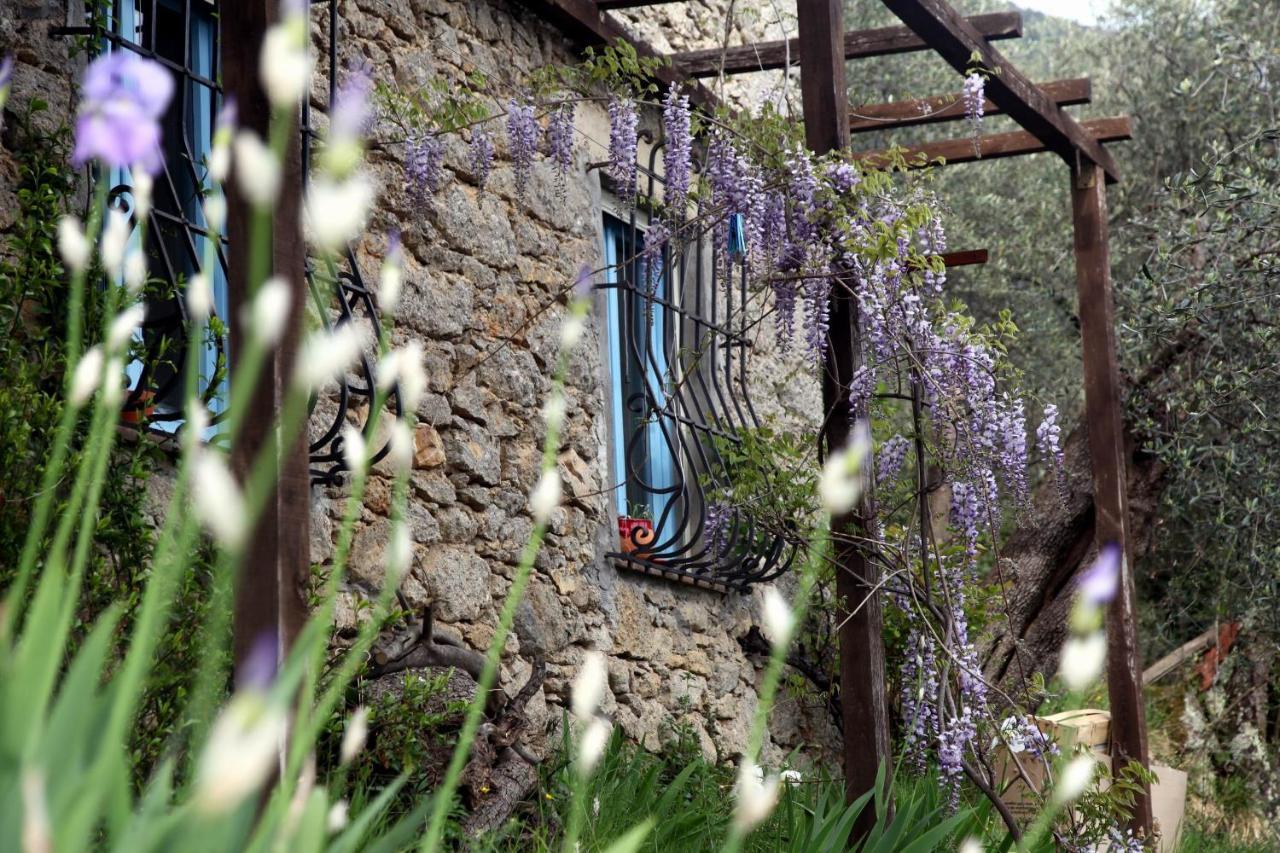Il Giaggiolo Villa Camaiore Exteriör bild