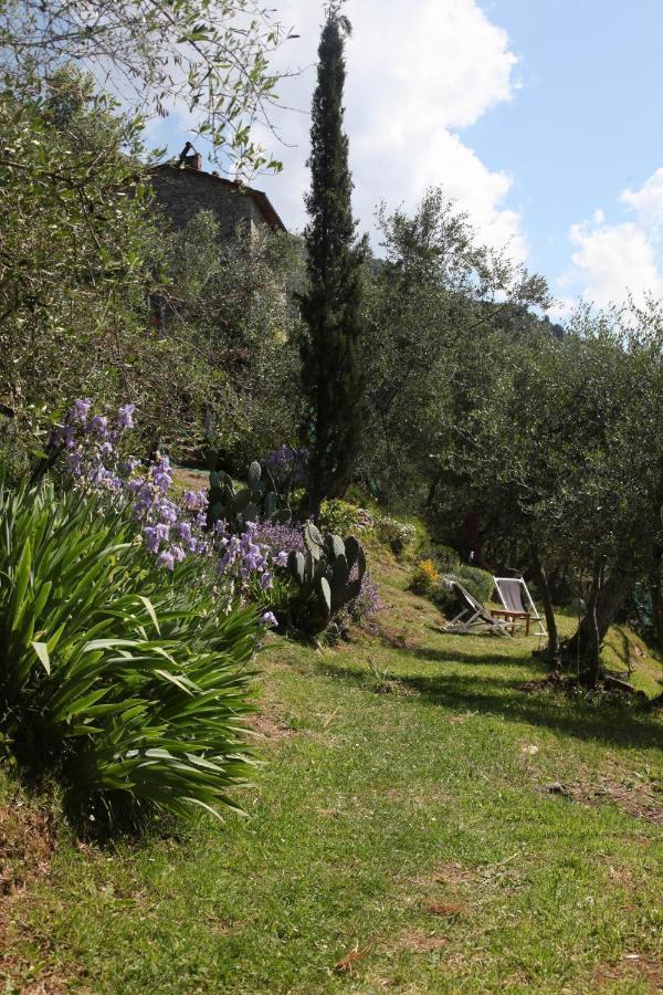 Il Giaggiolo Villa Camaiore Exteriör bild