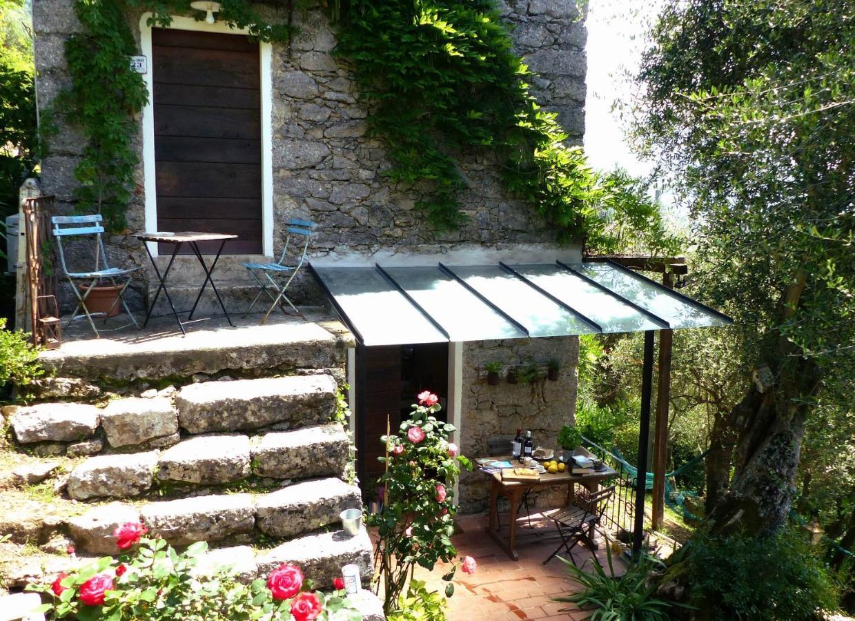 Il Giaggiolo Villa Camaiore Exteriör bild