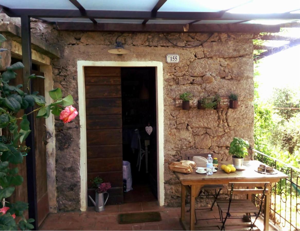 Il Giaggiolo Villa Camaiore Exteriör bild