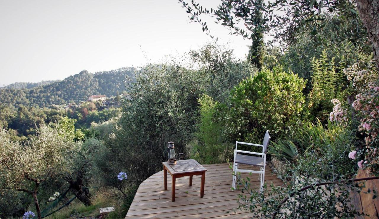 Il Giaggiolo Villa Camaiore Exteriör bild